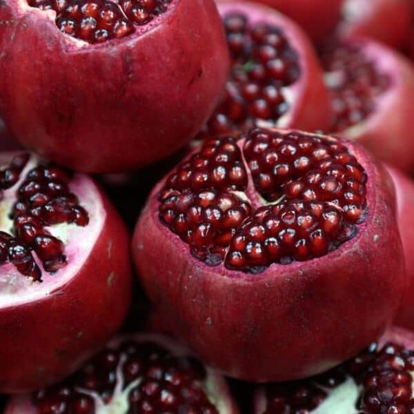 The pomegranate, the fruit