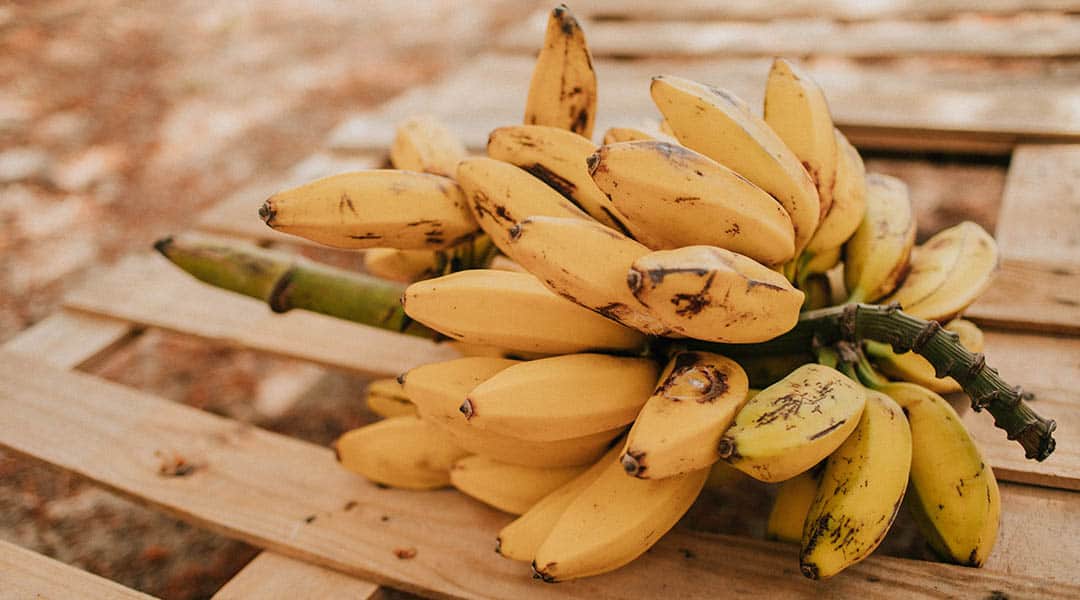 exotic fruits bananas